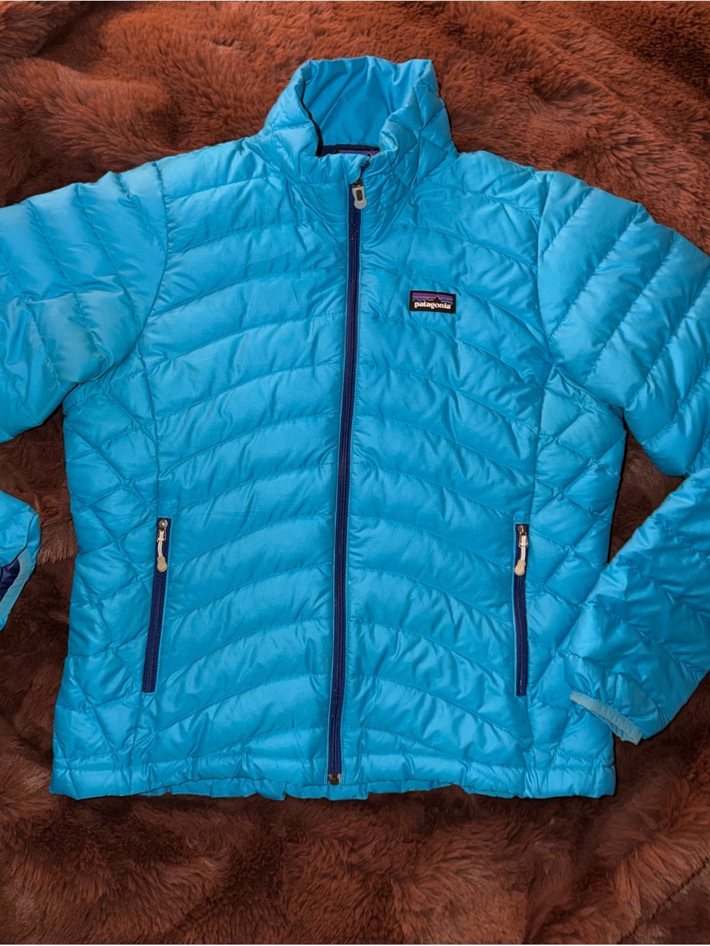 Patagonia Women’s Down Sweater 800 Fill Puffer Jacket Sky Blue Small